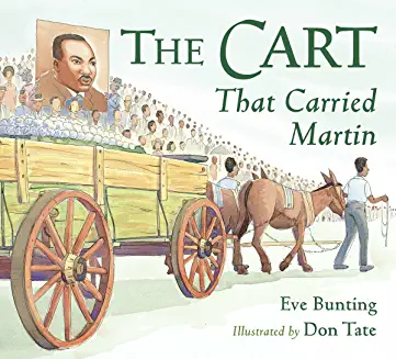 Book Jacket