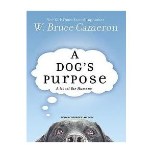 Book Jacket