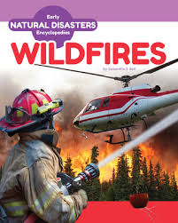 Book Jacket