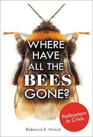Book Jacket