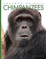 Book Jacket