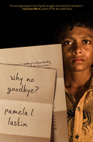 cover for the why-no-goodbye-why-no-bhine-pamela-laskin item.